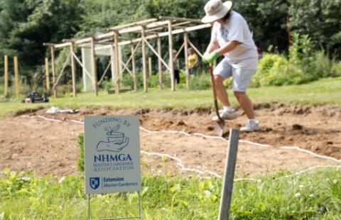 person digging in garden with shovel